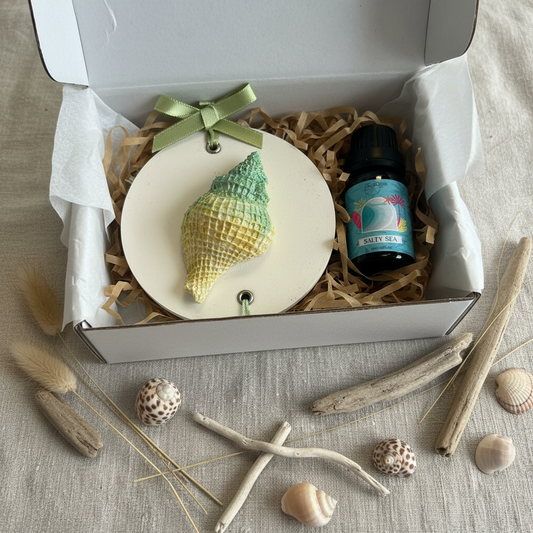 Conch shell room diffuser gift set in white box with kraft shredded paper and Salty Sea fragrance oil
