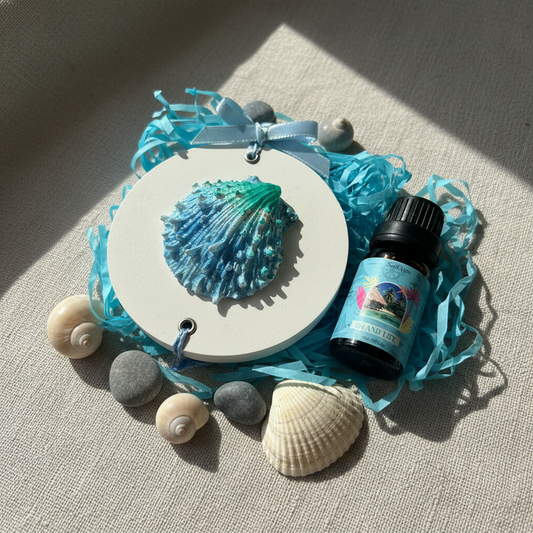 Scallop shell room diffuser gift set in white box with teal shredded paper